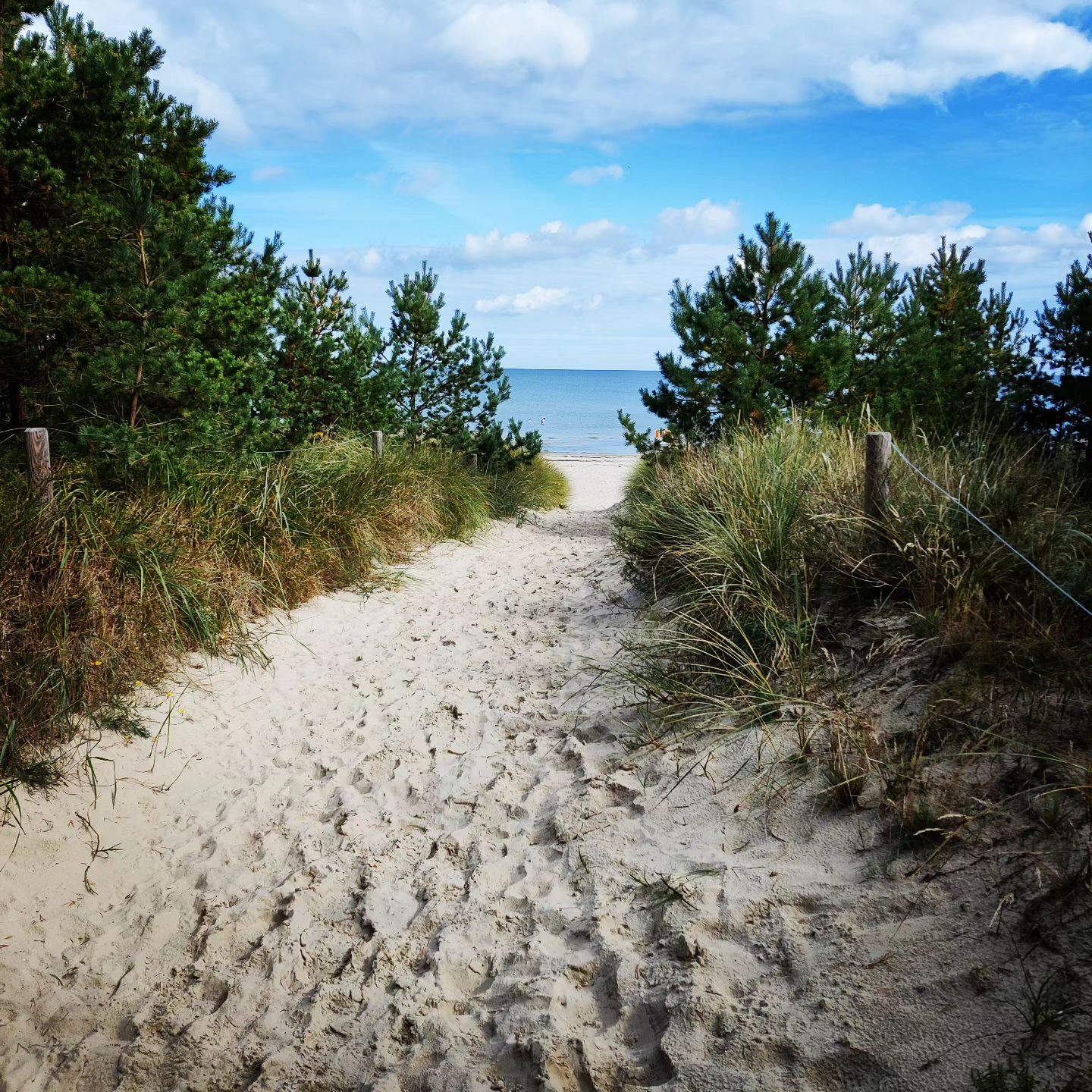 Beach Path at Goldstrand
